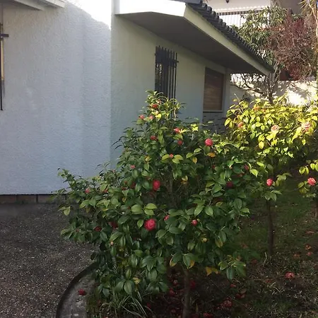 Prázdninový dům Casa Dos Oliva *