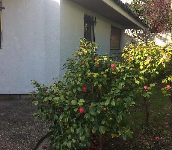 Casa de Férias Casa Dos Oliva *